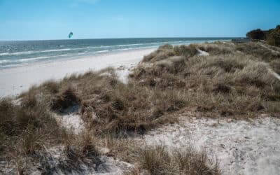 Valborgsmässoafton, första maj & Kristi himmelsfärd